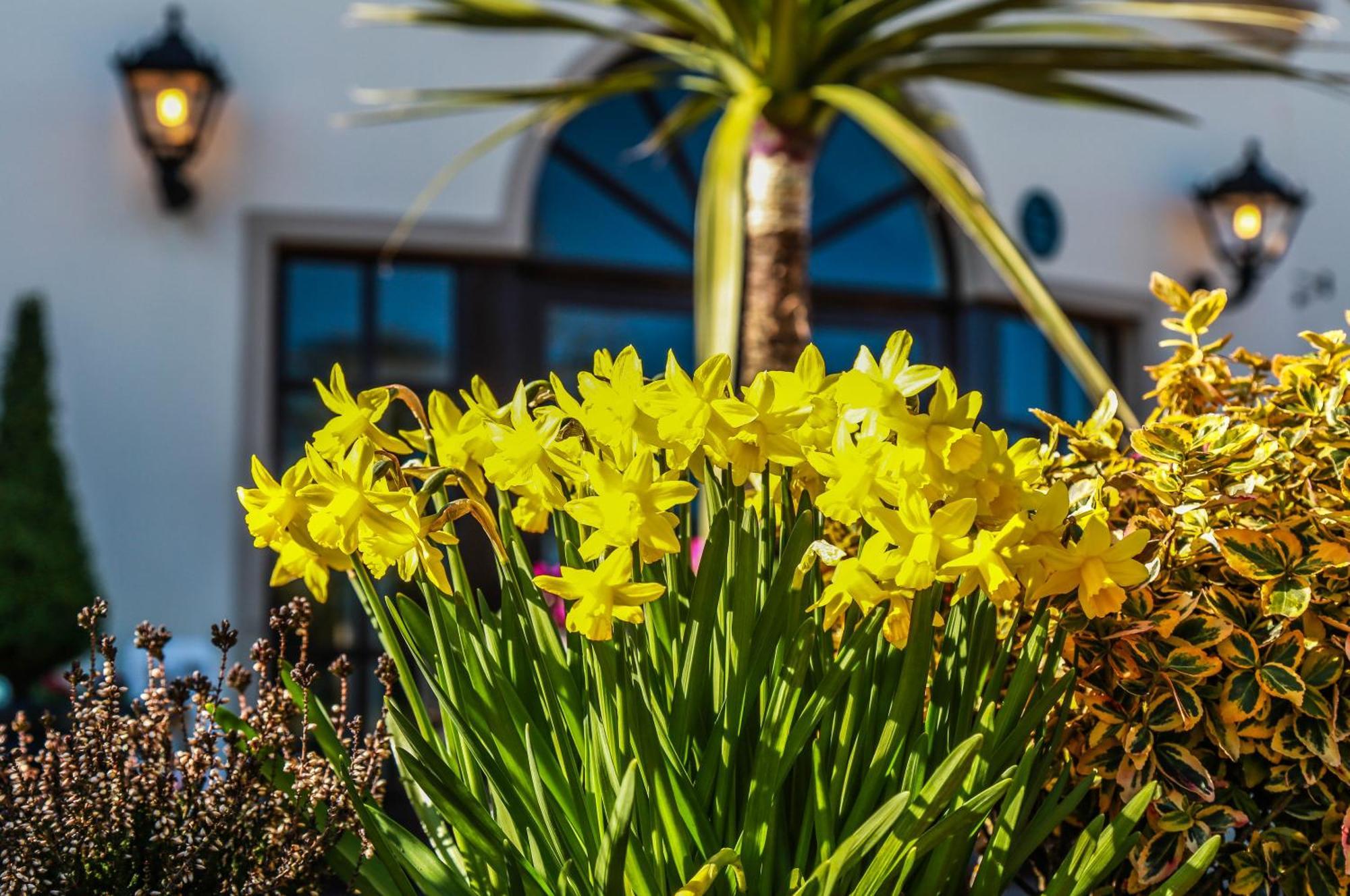 Ballymac Hotel Stonyford Екстериор снимка